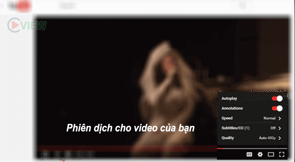 7  cach subtiltle video youtubue