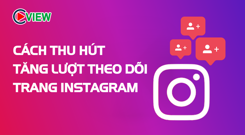 Tăng lượt theo dõi trang instagram