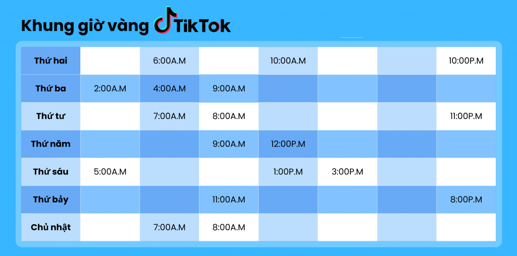 khung giờ đăng tiktok hiệu quả